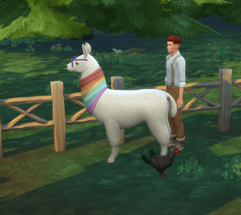 sims 4 lama pictures instead of family games4theworld